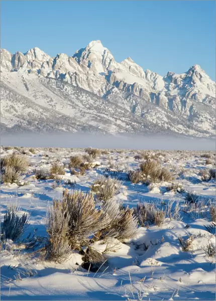 Tetons with first light in the valley with snow