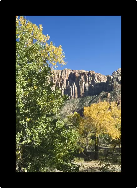 _TUW7106. Landscape near Zion National Park, Utah, United States of America, North America