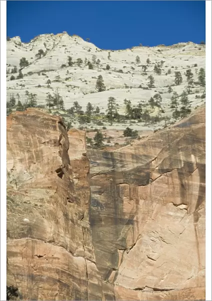 _LEF4803. Zion National Park, Utah, United States of America, North America