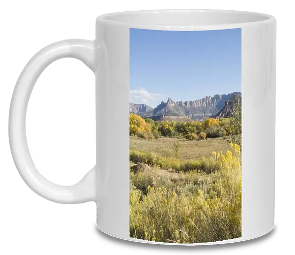 _LEF4776. Landscape near Zion National Park, Utah, United States of America, North America