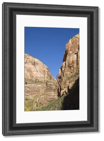 _LEF4865. Zion National Park, Utah, United States of America, North America