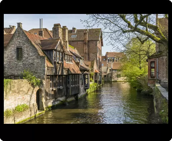 Typical houses on water canal, Bruges, West Flanders province, Flemish region, Belgium