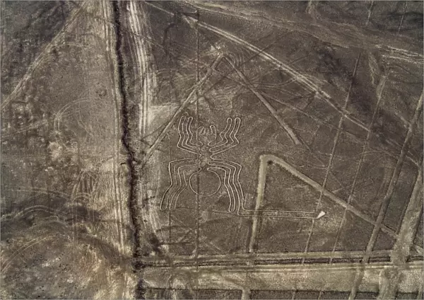 The Spider Geoglyph, aerial view, Nazca, UNESCO World Heritage Site, Ica Region, Peru