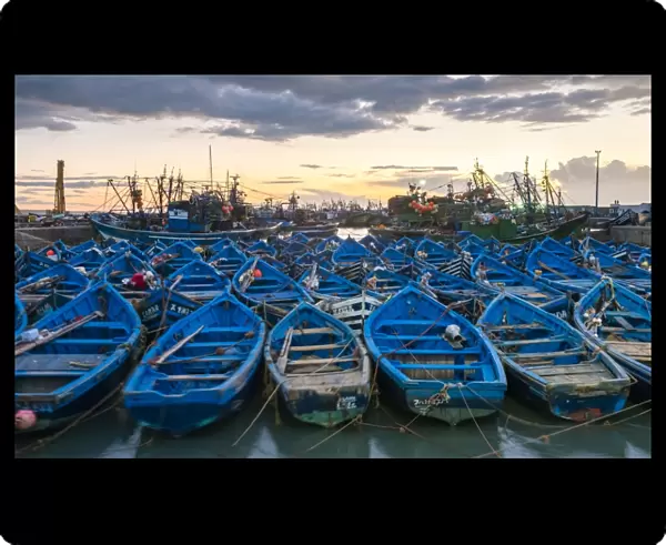 Blue boats in the old fishing port at sunset, Essaouira, Marrakesh-Safi, Morocco