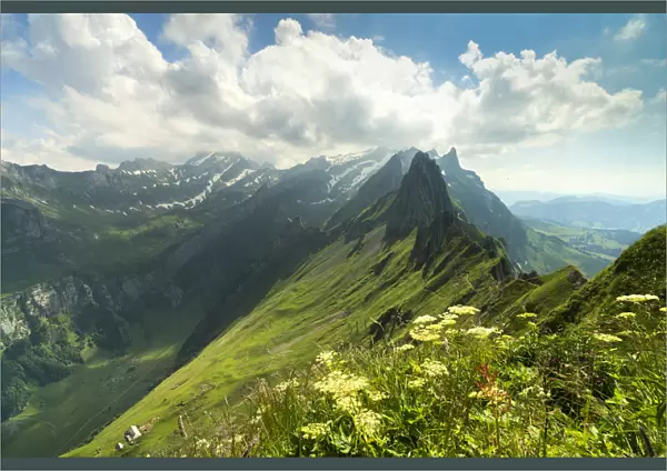 Peak Santis seen from Schafler during summer, Appenzell Innerrhoden, Switzerland, Europe