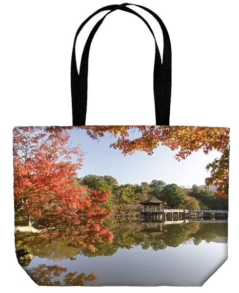 Autumn color around Ukimido pavilion on the Sagiike Pond, Nara Park, Nara, Japan, Asia