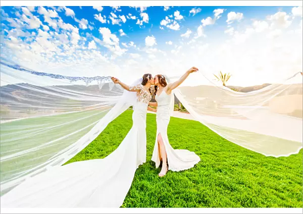 Newlyweds first look post wedding ceremony, Corona, California, United States of America