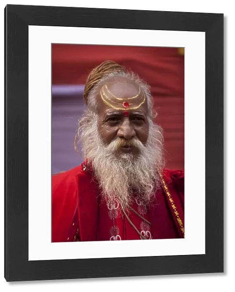 Sadhu at the Kumbh Mela in February 2010, Haridwar, Uttar Pradesh, India, Asia