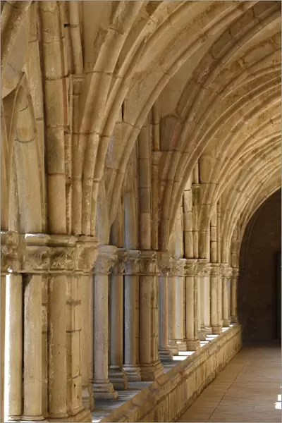 The Cloister, The Cistercian Abbey of Noirlac, Bruere-Allichamps, Cher, Centre, France