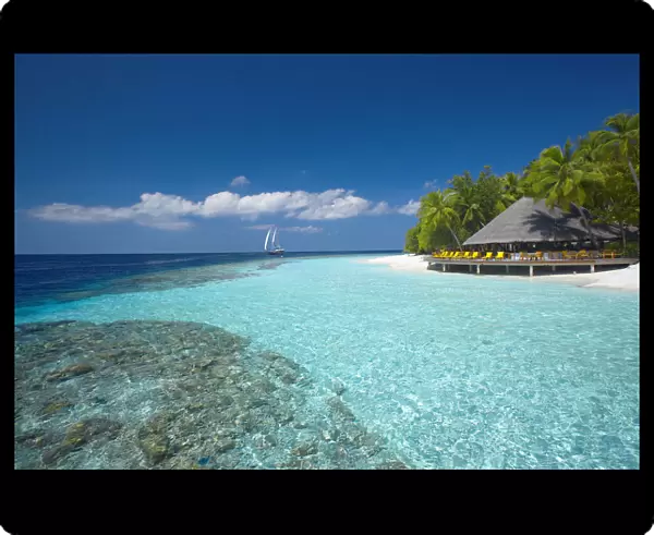 Terrace and tropical beach, The Maldives, Indian Ocean, Asia