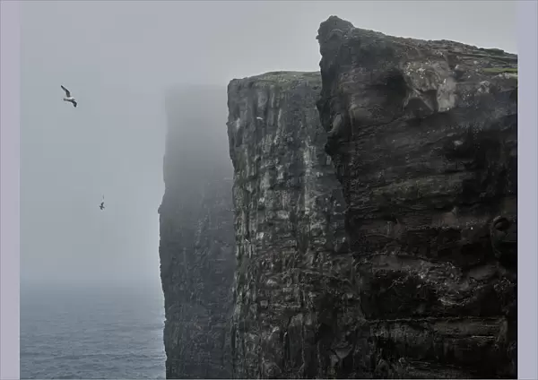 Cliffs of Traelanipa above the ocean, Faroe Islands, Denmark, Europe