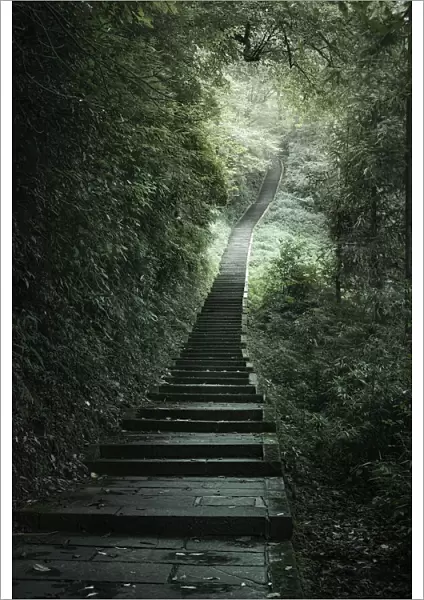 The endless stairs to ascend Mount Emei, Emeishan, Sichuan, China, Asia