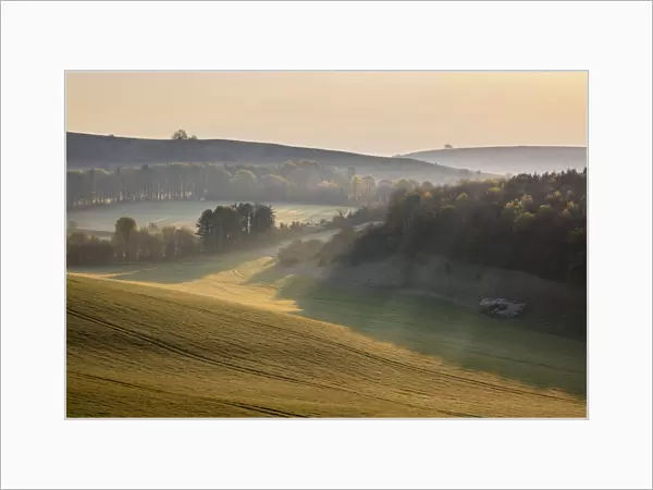 Misty landscape with Beacon Hill and Ladle Hill, Highclere