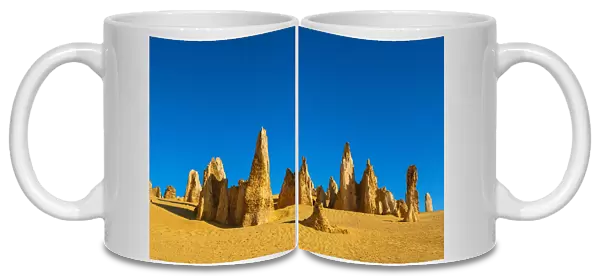 Pinnacles, rare limestone formations, dated around 30000 years old, Nambung National Park