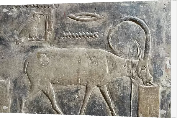 Relief from a tomb in Saqqara, part of the Memphite Necropolis, UNESCO World Heritage Site, Egypt, North Africa Africa