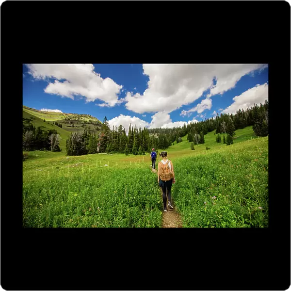 Walkers on Grand Teton National Park trails, Wyoming, United States of America, North America