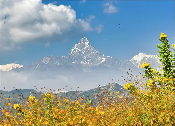 View of the Annapurna peaks from World Peace Stupa, Pokhara, Nepal, Himalayas, Asia