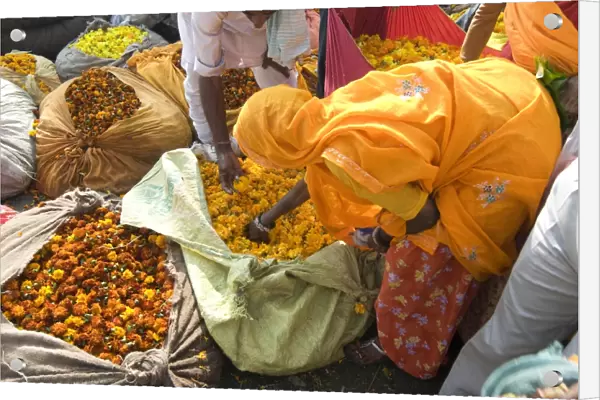 Woman buying marigolds, flower market, Bari Chaupar, Jaipur, Rajasthan, India, Asia