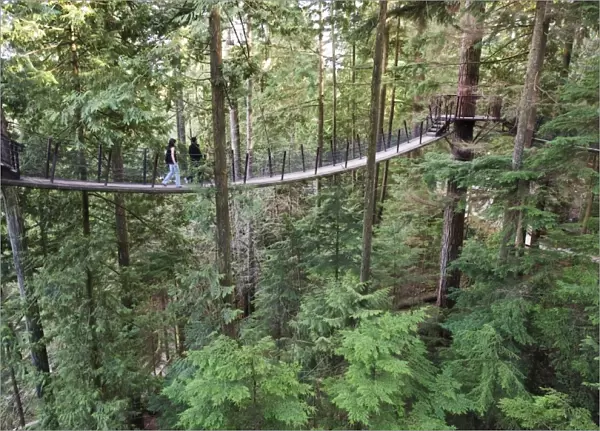 Tourists on a treetop walkway in Capilano Suspension Bridge and Park, Vancouver