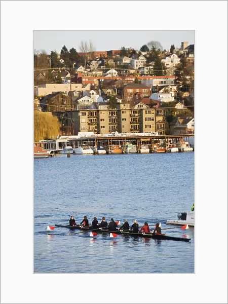 Rowing team on Lake Union, Seattle, Washington State, United States of America