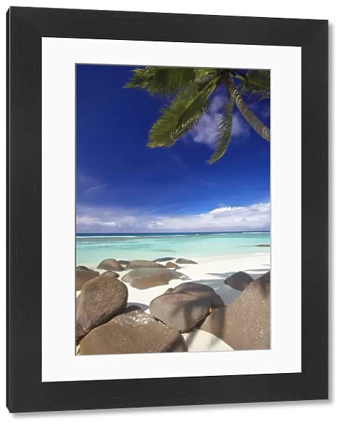 Rocks and palm tree on tropical beach, Seychelles, Indian Ocean, Africa
