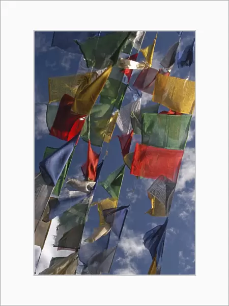 Budhhist prayer flags fluttering in the wind, Darjeeling, West Bengal, India, Asia