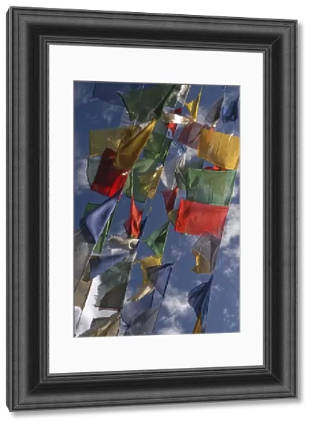 Budhhist prayer flags fluttering in the wind, Darjeeling, West Bengal, India, Asia