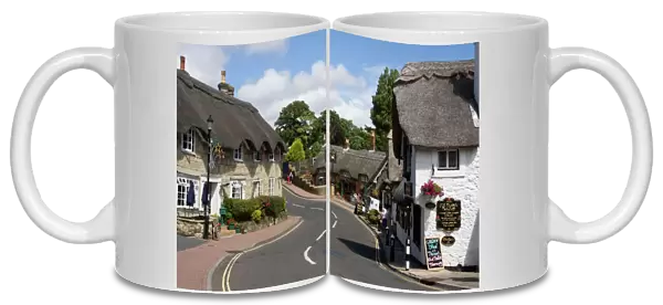 Thatched houses, teashop and pub, Shanklin, Isle of Wight, England, United Kingdom