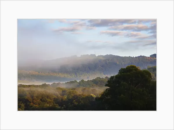 Morning fog over the Silvan Reservoir, Dandenong Ranges, Victoria, Australia, Pacific