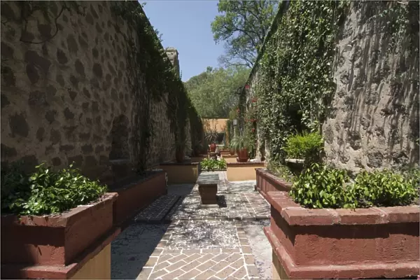 Gardens in Guanajuato, UNESCO World Heritage Site, Guanajuato State, Mexico