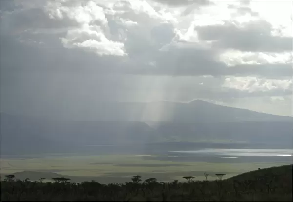 Ngorongoro crater, UNESCO World Heritage Site, Tanzania, East Africa, Africa