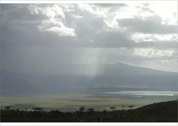 Ngorongoro crater, UNESCO World Heritage Site, Tanzania, East Africa, Africa