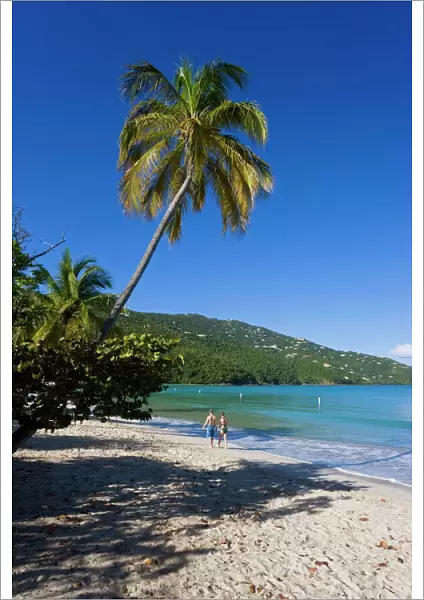 Palms and beach at Magens Bay, the most famous beach on St. Thomas, St