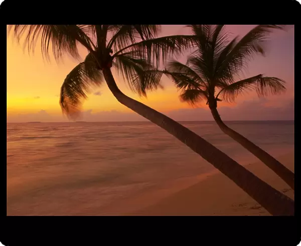 Sunset on beach, Maldives, Indian Ocean, Asia