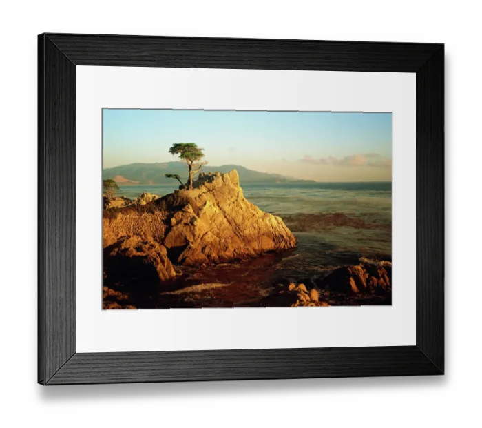 Framed Print : Lone Cypress Tree Print - Carmel, California at Dusk Framed Print : Lone Cypress Tree Print - Carmel, California at Dusk