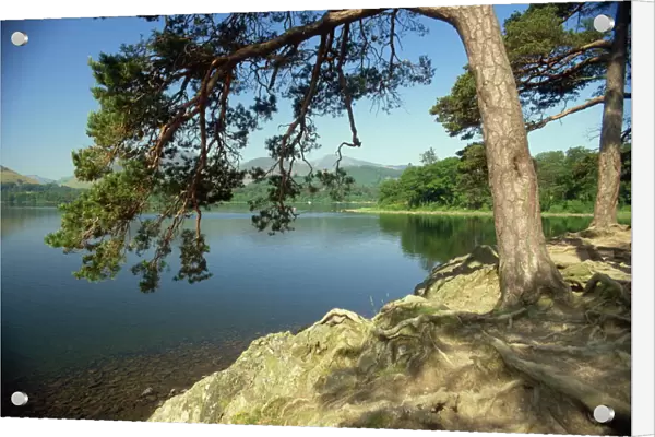 Derwentwater, Lake District National Park, Cumbria, England, United Kingdom, Europe