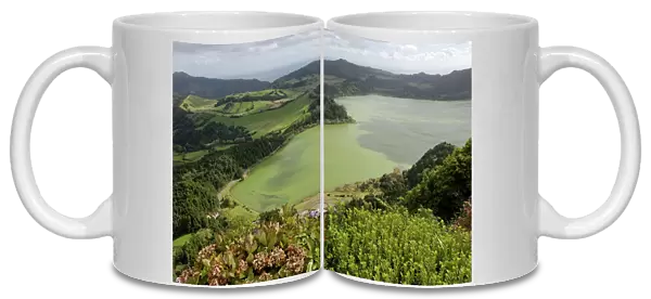 Furnas Lake, Sao Miguel Island, Azores, Portugal, Europe