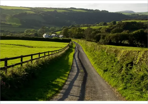 Lane, North Exmoor, Devon, England, United Kingdom, Europe
