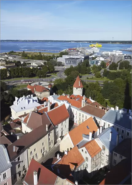 View of Lower Town with Ferry Terminal in background, Tallinn, Estonia