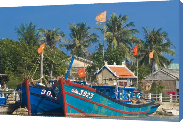 Traditional boats in the habour of Hoi An, Hoi An, Vietnam, Indochina, Southeast Asia