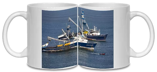 Tuna fishing boats, City of Manta, Manabi Province, Ecuador, South America