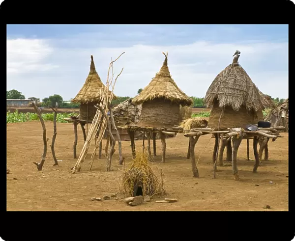 Traditional houses of the Danasech tribe, Oromote, Omo valley, Ethiopia, Africa