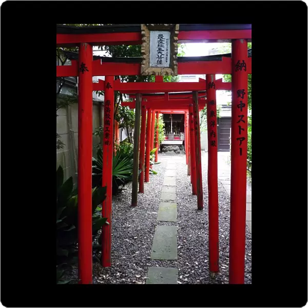 Torii shrine gates, Kyoto, Japan, Asia
