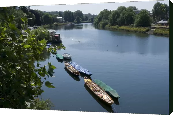 View of the Thames from Richmond Bridge, Richmond, Surrey, England, United Kingdom