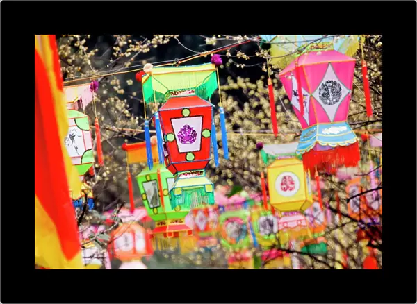Multicolored handmade lanterns hang from trees in a park during the Chinese New Year Spring Festival, Chengdu, Sichuan