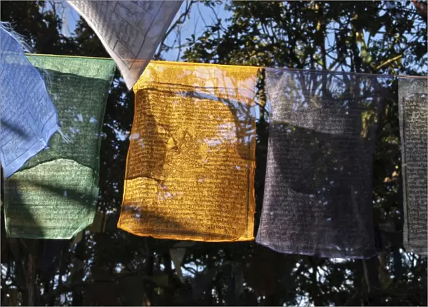 Buddhist prayer flags hanging near the Mahakal Buddhist Monastery, Observatory Hill