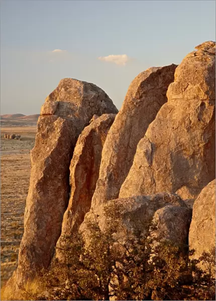 Boulders at sunset, City of Rocks State Park, New Mexico, United States of America