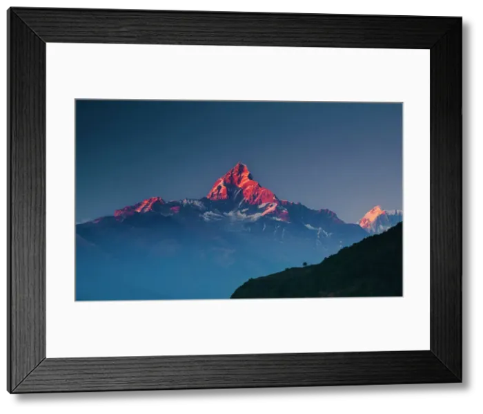 Framed Print : Machapuchare (Fish Tail) Print, Annapurna Himal, Nepal Framed Print : Machapuchare (Fish Tail) Print, Annapurna Himal, Nepal