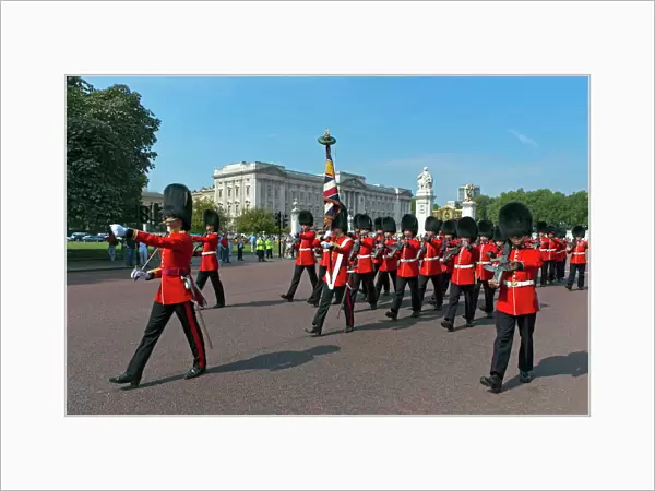 Grenadier Guards march to Wellington Barracks after Changing the Guard ceremony, London, England, United Kingdom, Europe