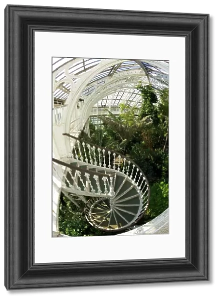Spiral staircase in the Temperate House, Royal Botanic Gardens, Kew, UNESCO World Heritage Site, London, England, United Kingdom, Europe
